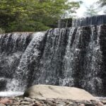 長野県立場川キャンプサイト