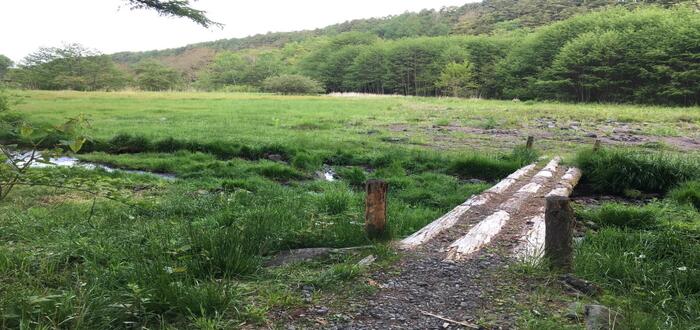 長野県立場川キャンピングカー